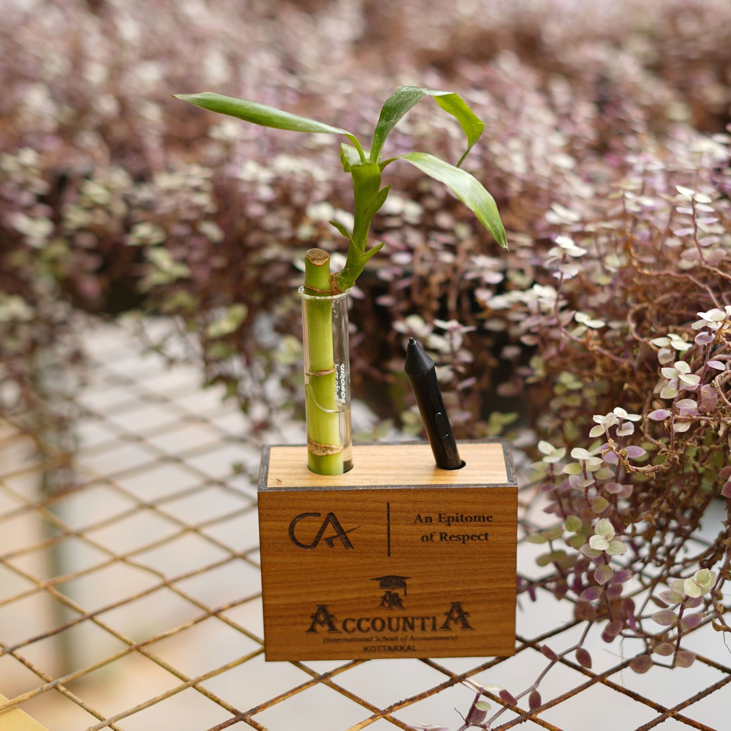 Nurture Your Creativity: Personalized Wooden Pen Stand with Plant Vase - A Perfect Gift for Artists and Writers
