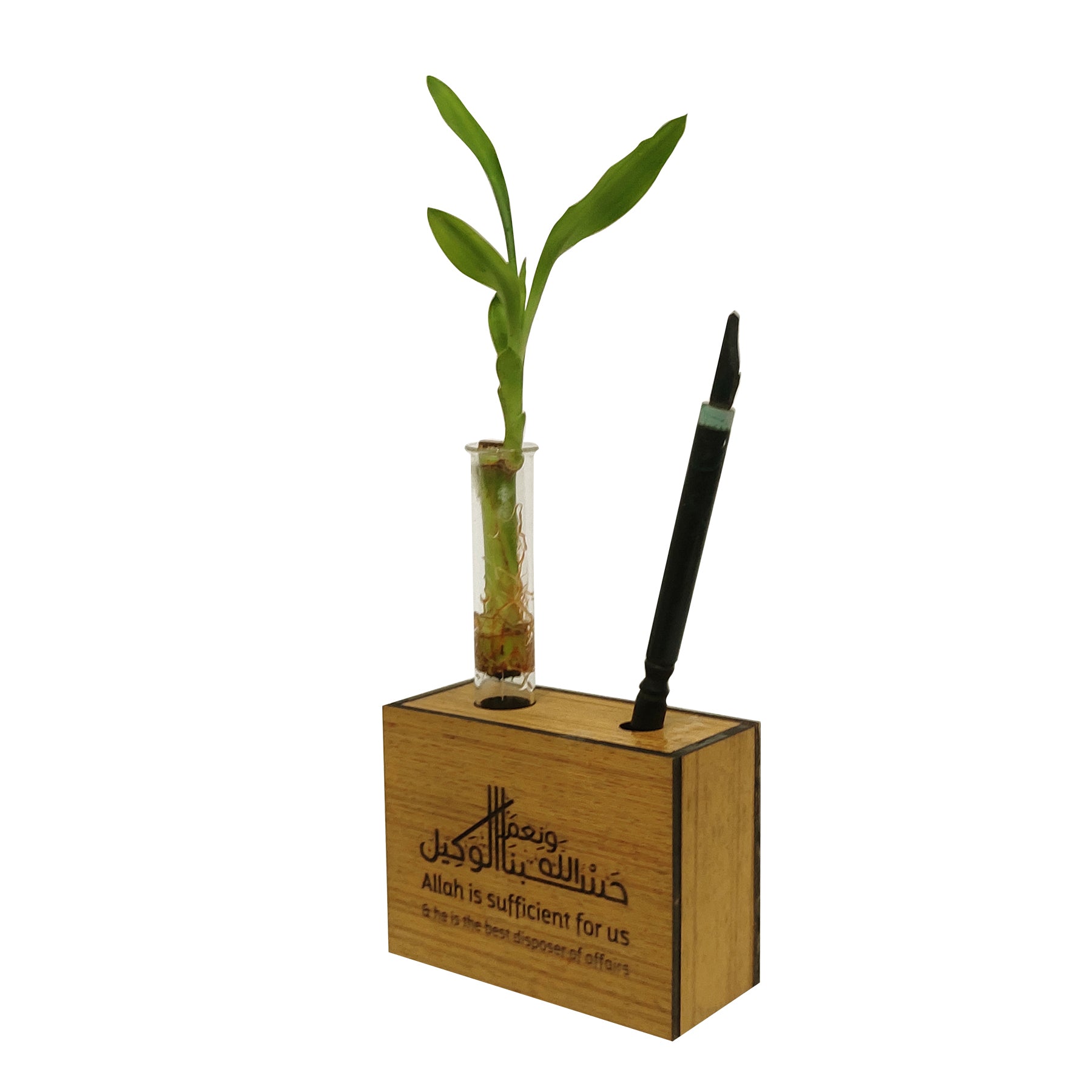 Wooden Pen Stand with Plant Vase Customize Gift for boss