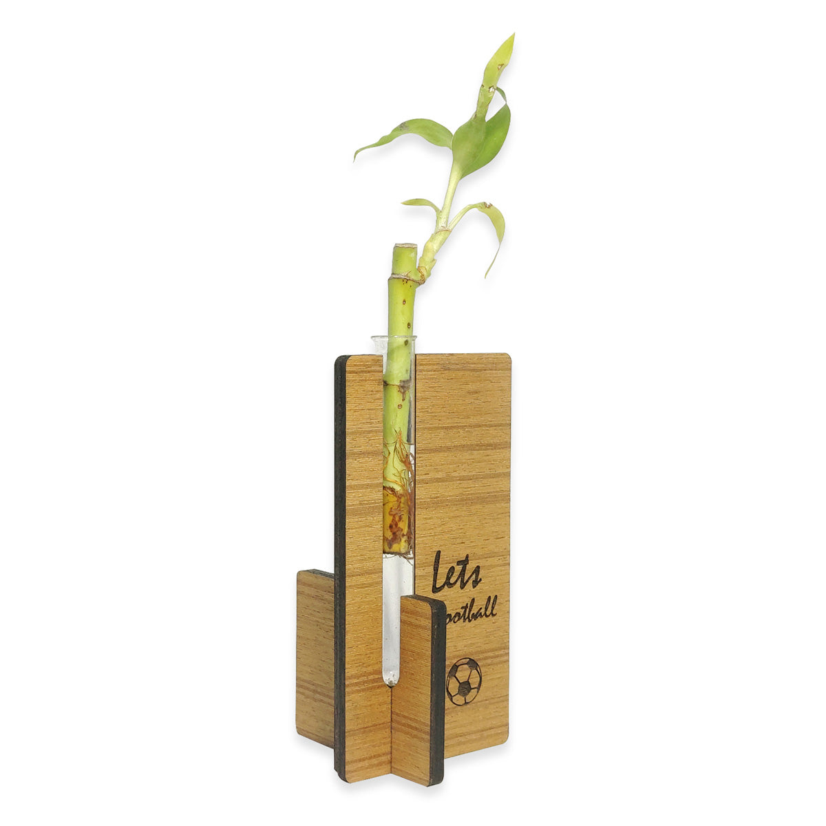 Customize Wooden Engraved Plant Vase Gift