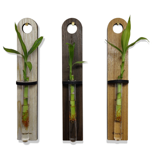 Home Decor Wooden Plant Vase set of 3