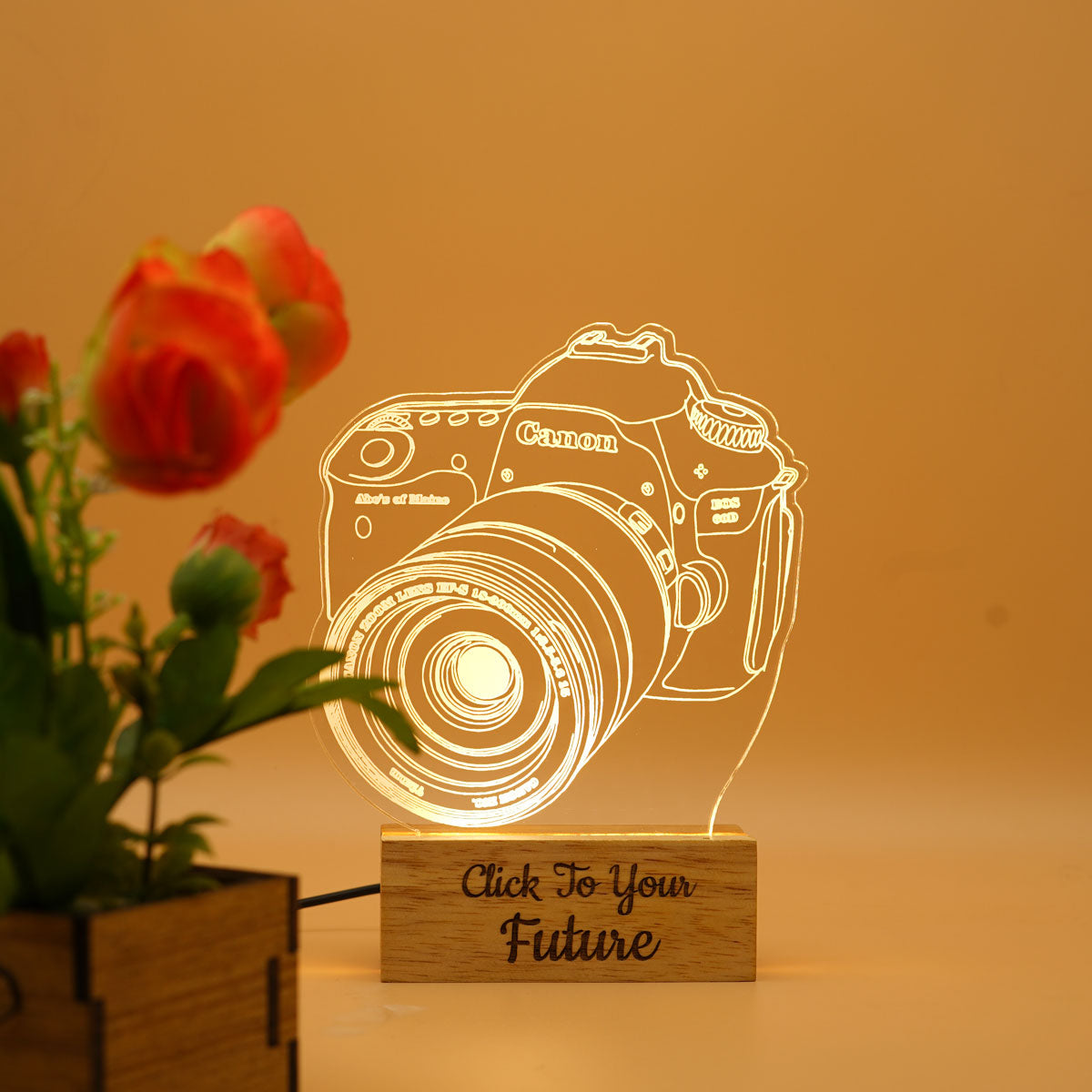 Personalized Camera 3D Illusion Acrylic led lamp Night lamp