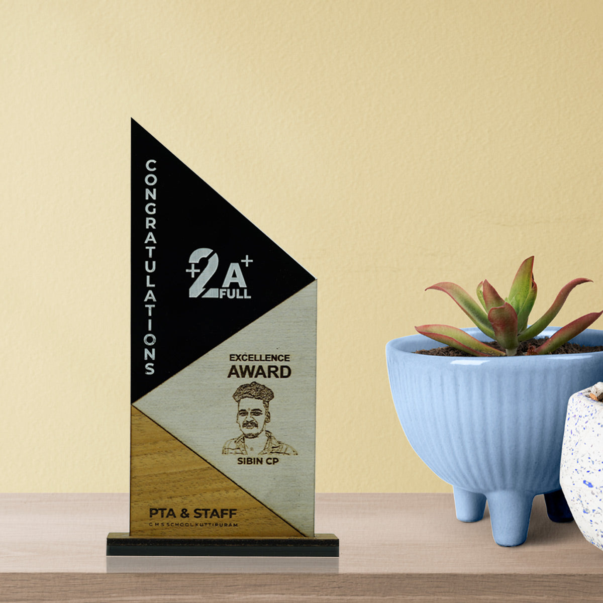 Wood Engraved Acrylic Memento/Award