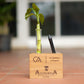 Nurture Your Creativity: Personalized Wooden Pen Stand with Plant Vase - A Perfect Gift for Artists and Writers