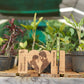 Growing Together: Personalized Wood Engraved Wedding Gift with Plant Vase - A Lasting Symbol of Love