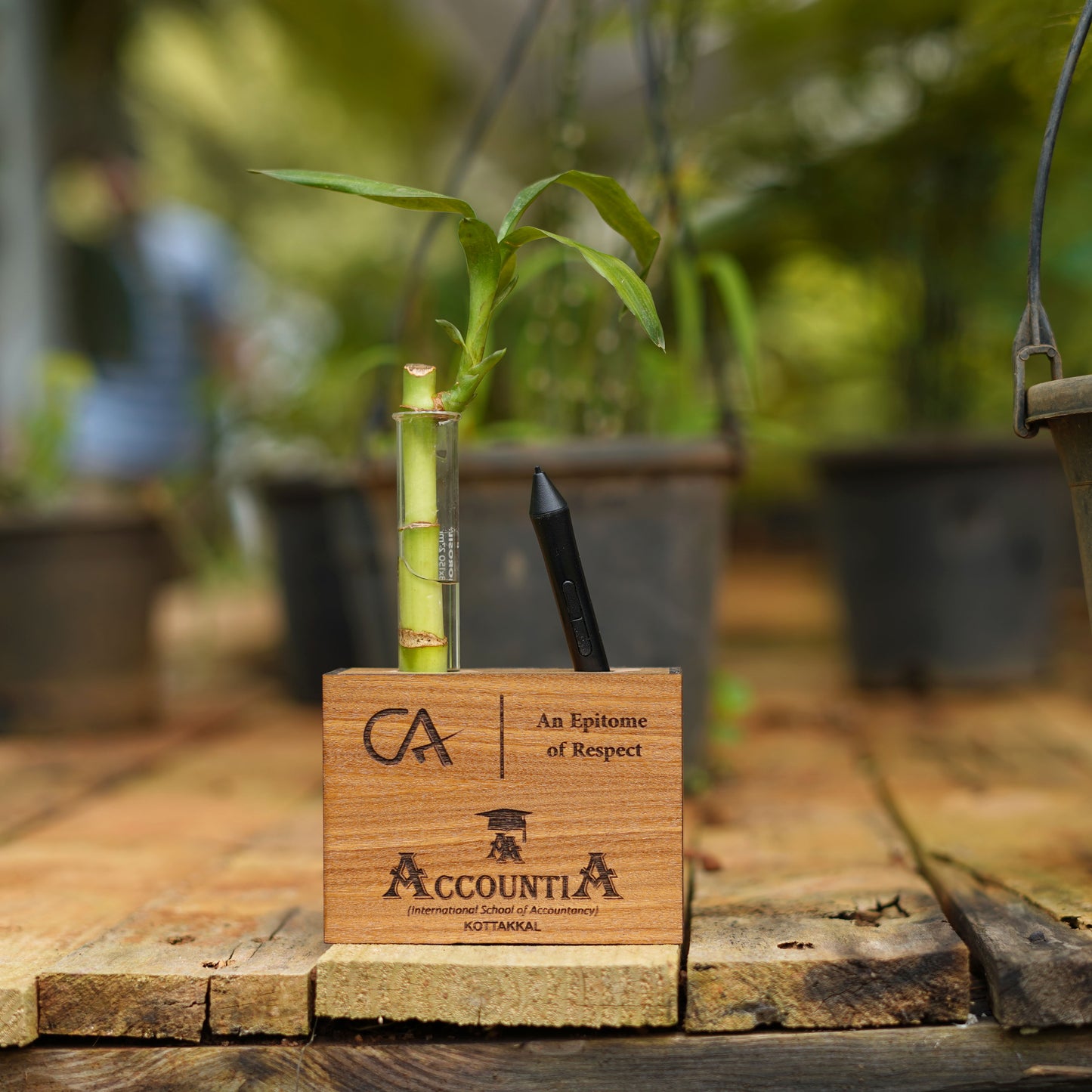 Nurture Your Creativity: Personalized Wooden Pen Stand with Plant Vase - A Perfect Gift for Artists and Writers