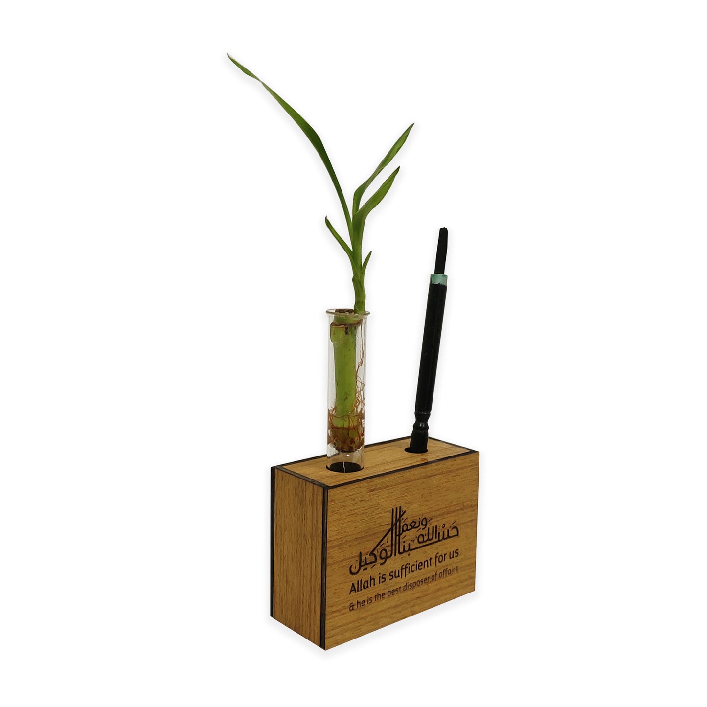 Wooden Pen Stand with Plant Vase Customize Gift for friend